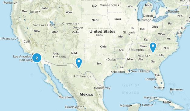 random Map