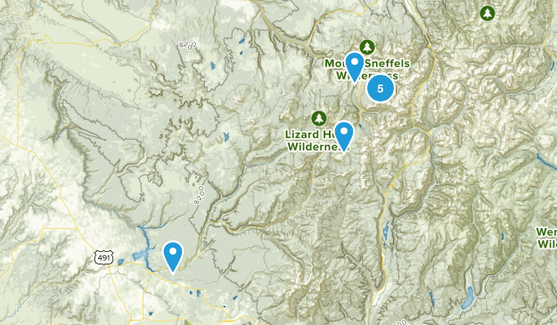 Rico area Map