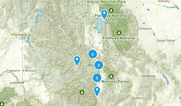 mt Map