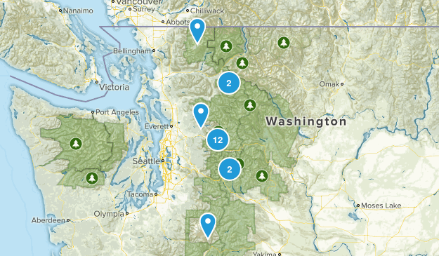 washington 2015 Map