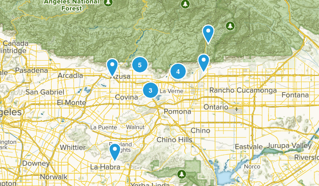 LOCAL Map