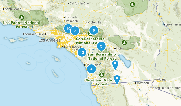 Starters Map