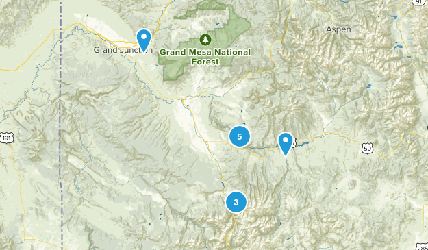 Local Map