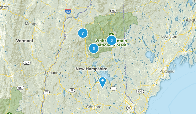 today Map