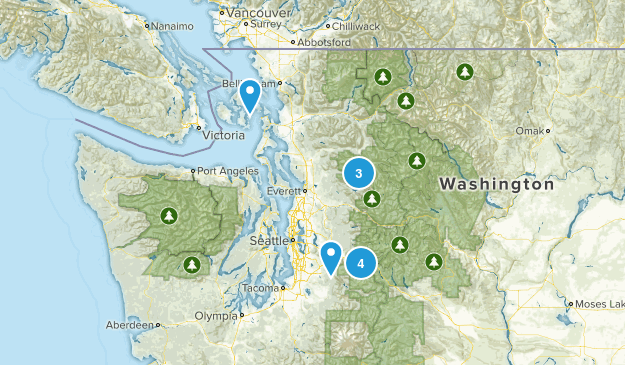 8 Before Graduation Map
