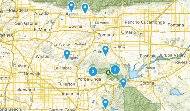 Charlie walks Map