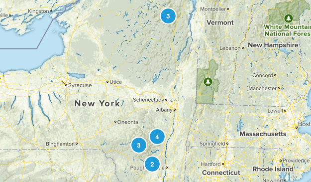 NY To Dos Map