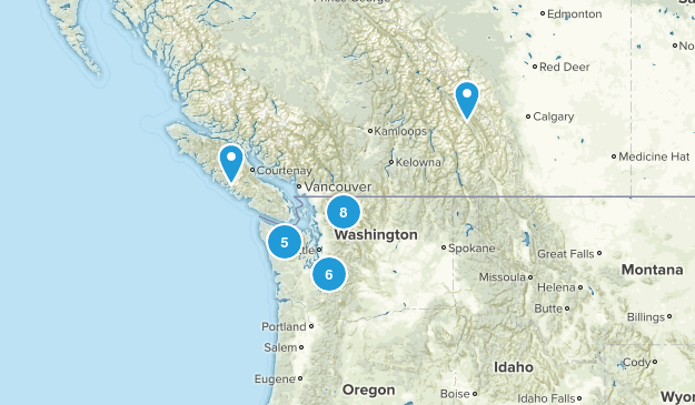 spring/summer 16 Map