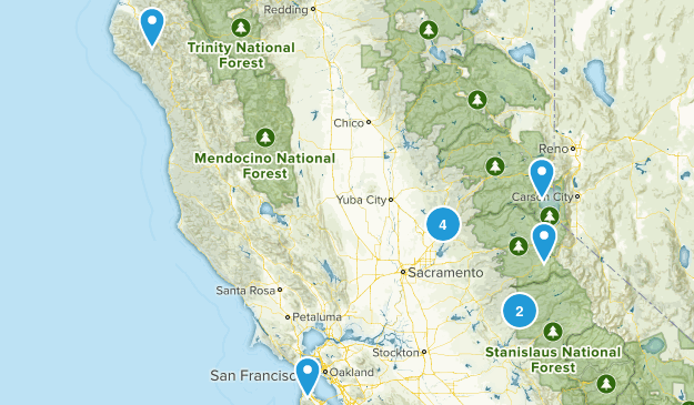 Local Map