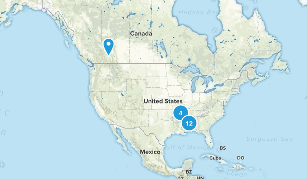 Wish List Map