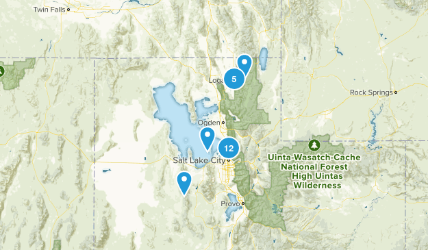 Dog Friendly Map