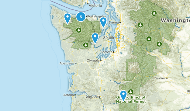 This Summer Map