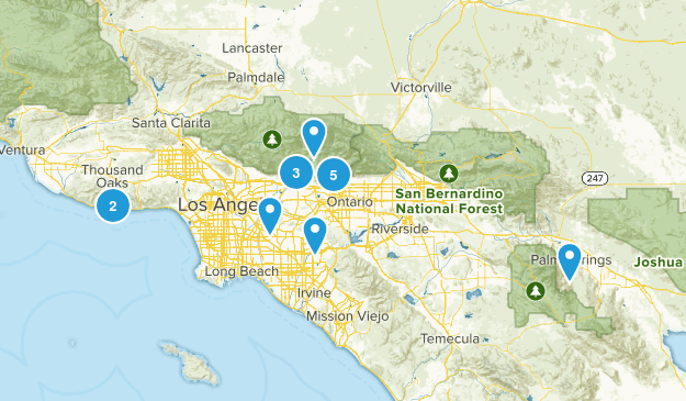 wish Map