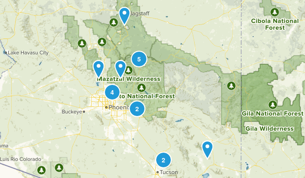 TD Map