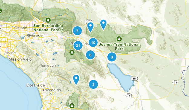 palms Map
