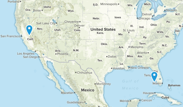 Will Do Map
