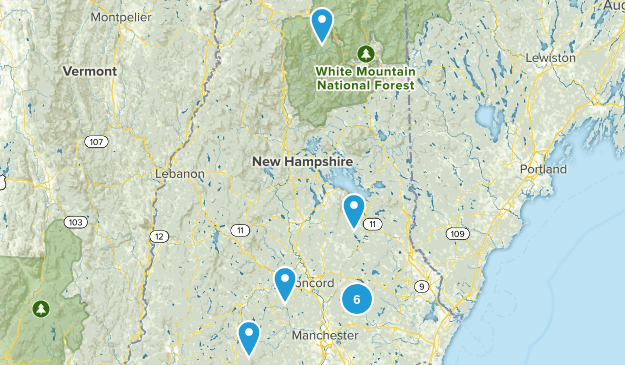 Michelle Map