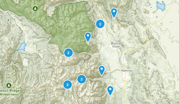 Buena Vista Map
