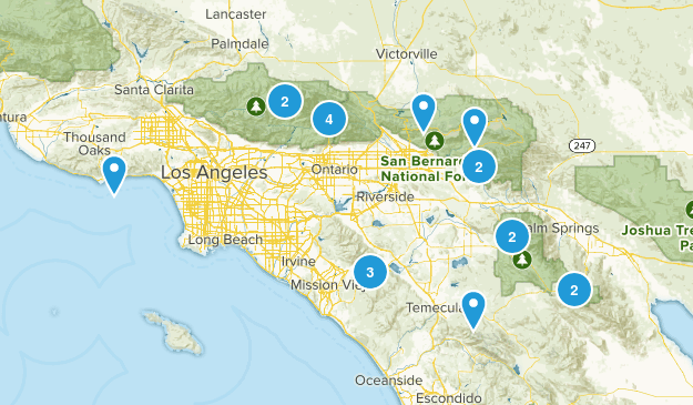 Dog-Friendly Map