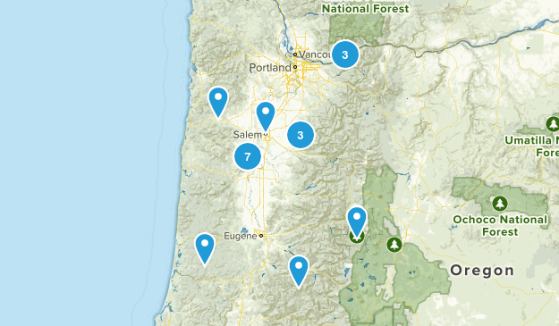 Wish Map