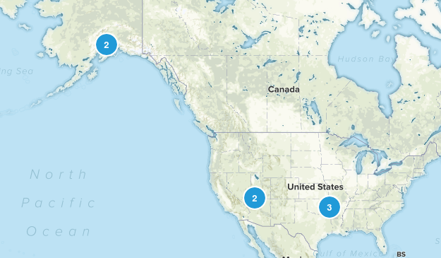Bucket List Map