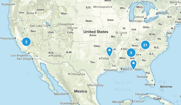 todo Map