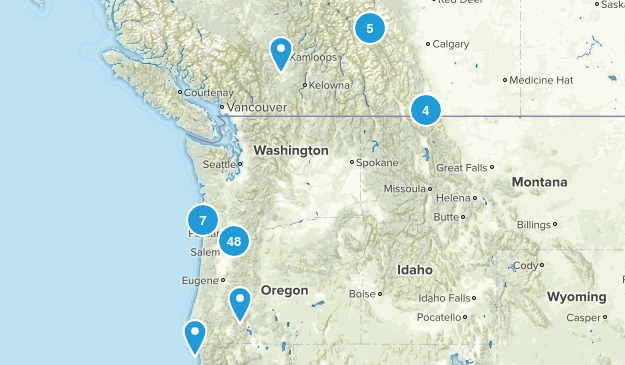 Wish Map