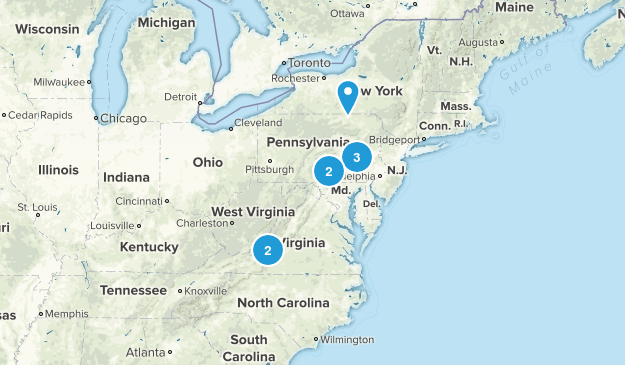 List Map