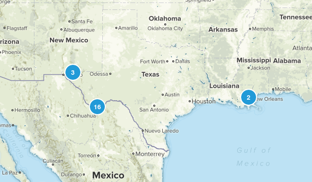 Texas & Louisiana Map