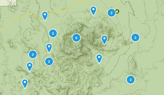 big bend birding Map