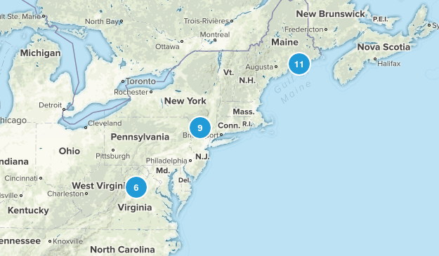 Bucket List Map