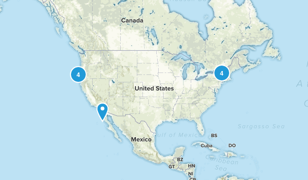 Bucket List Map