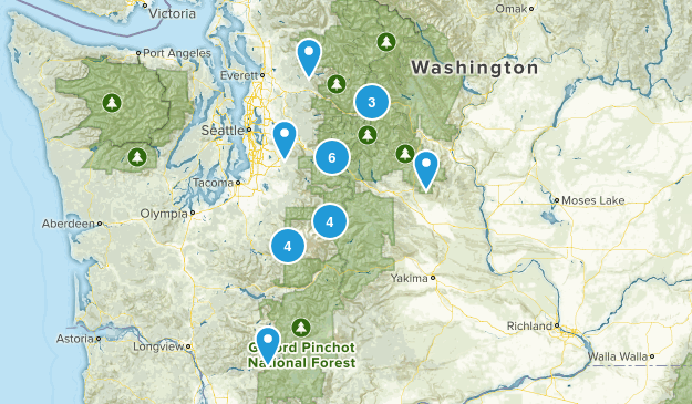 Snowshoe Trails Map