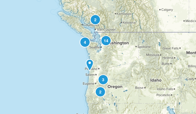 seattle Map