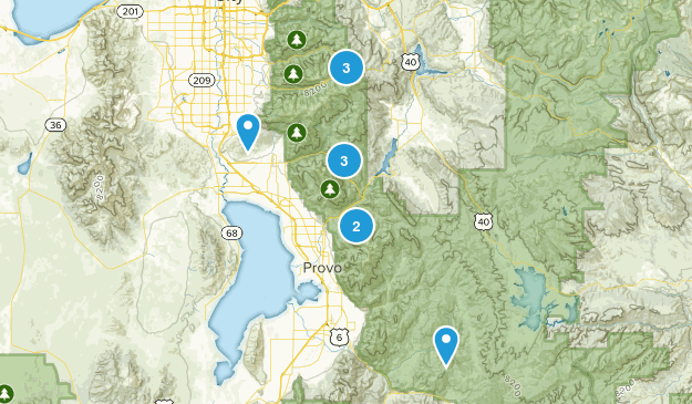 Family Map