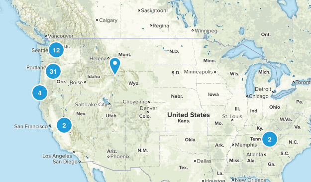 Views Map