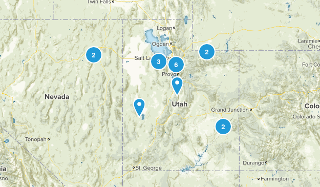 todo Map