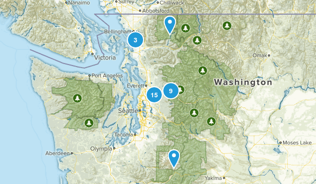 Shellys Excursions Map