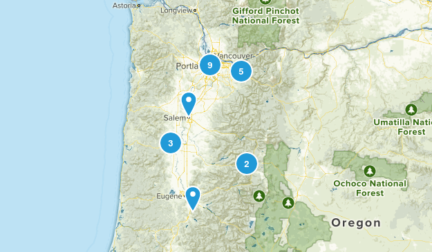 Take Fiona Map