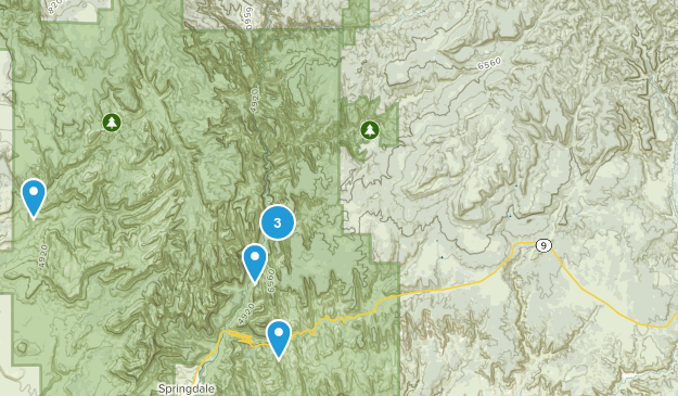Zion Trails Map