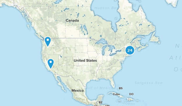 Mark's To Do Map