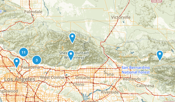 todo Map