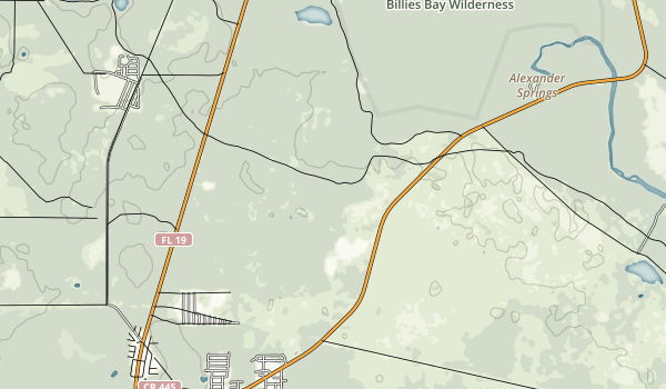 What's Next Map
