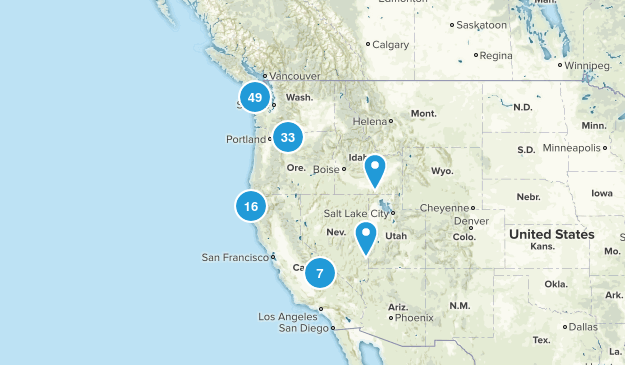May Map