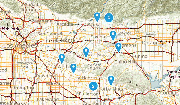 Out and Back Map