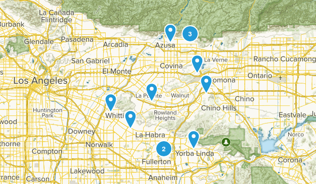 Out and Back Map