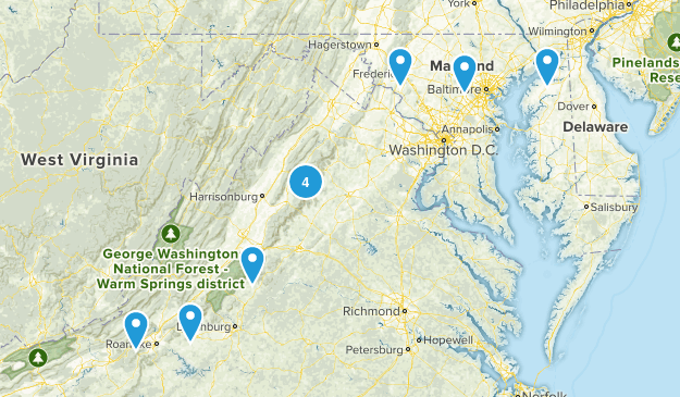 BUCKETS Map