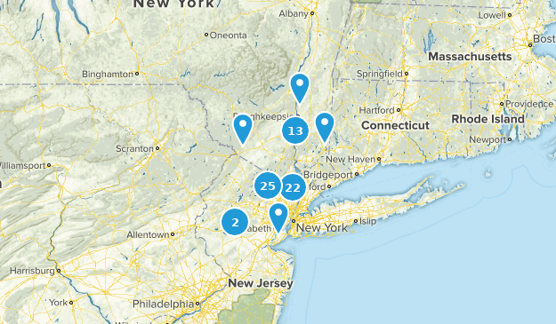 Local Map