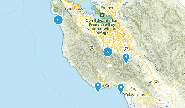 Spring Break Map