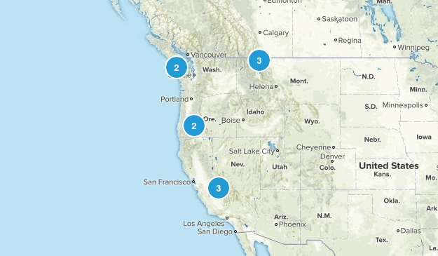 Summer 2017 Map